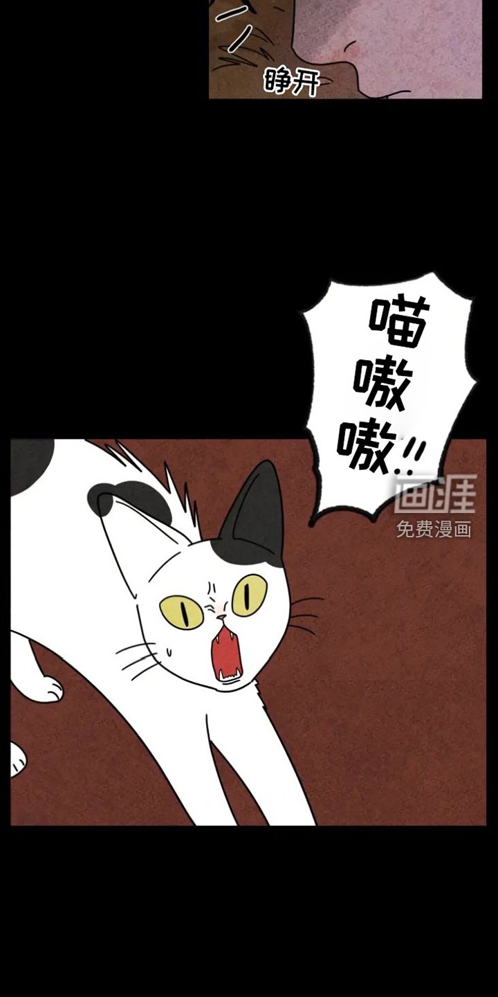 第35章：羡慕