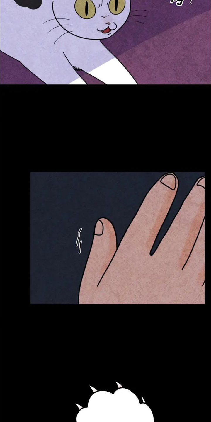 第35章：羡慕