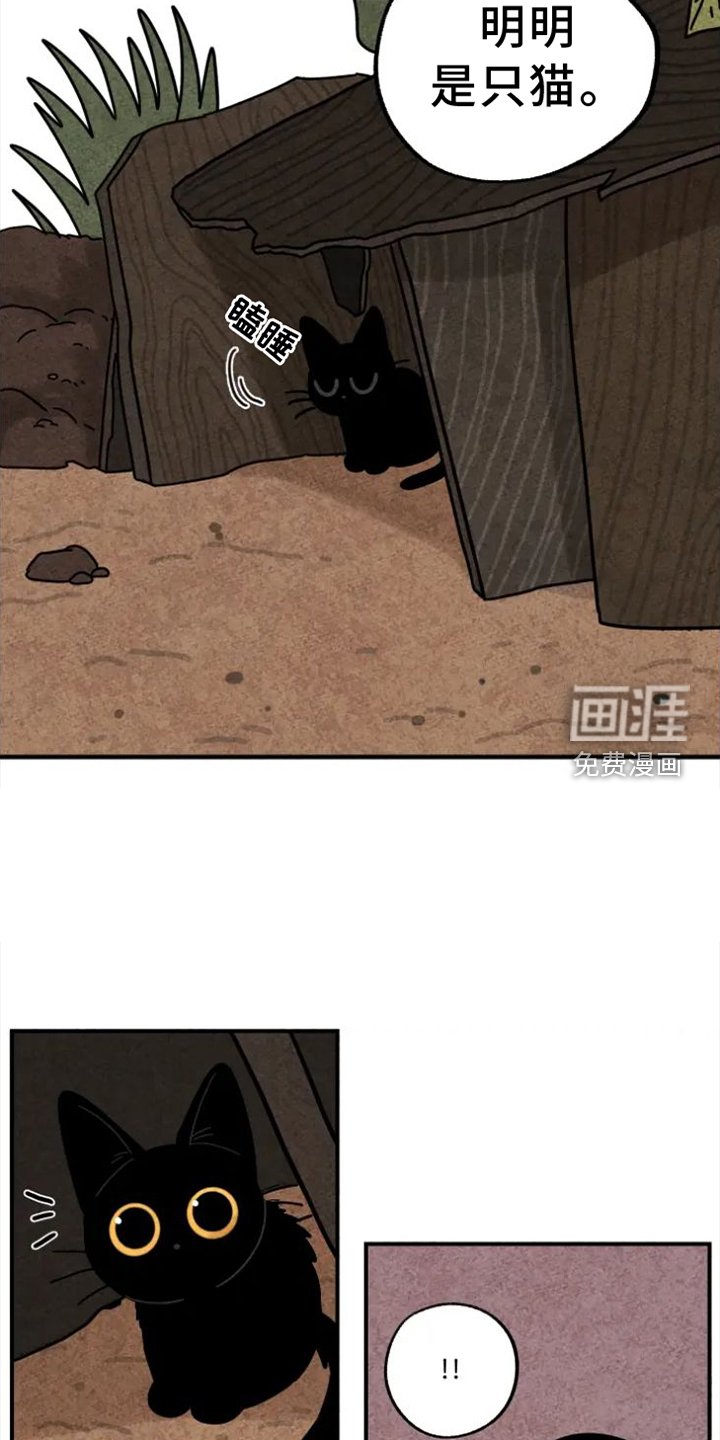 第36章：礼物