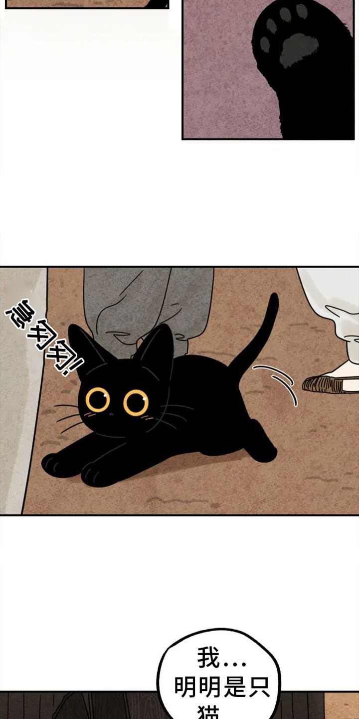 第36章：礼物