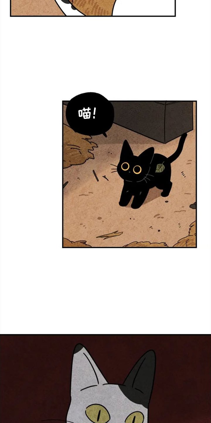 第36章：礼物