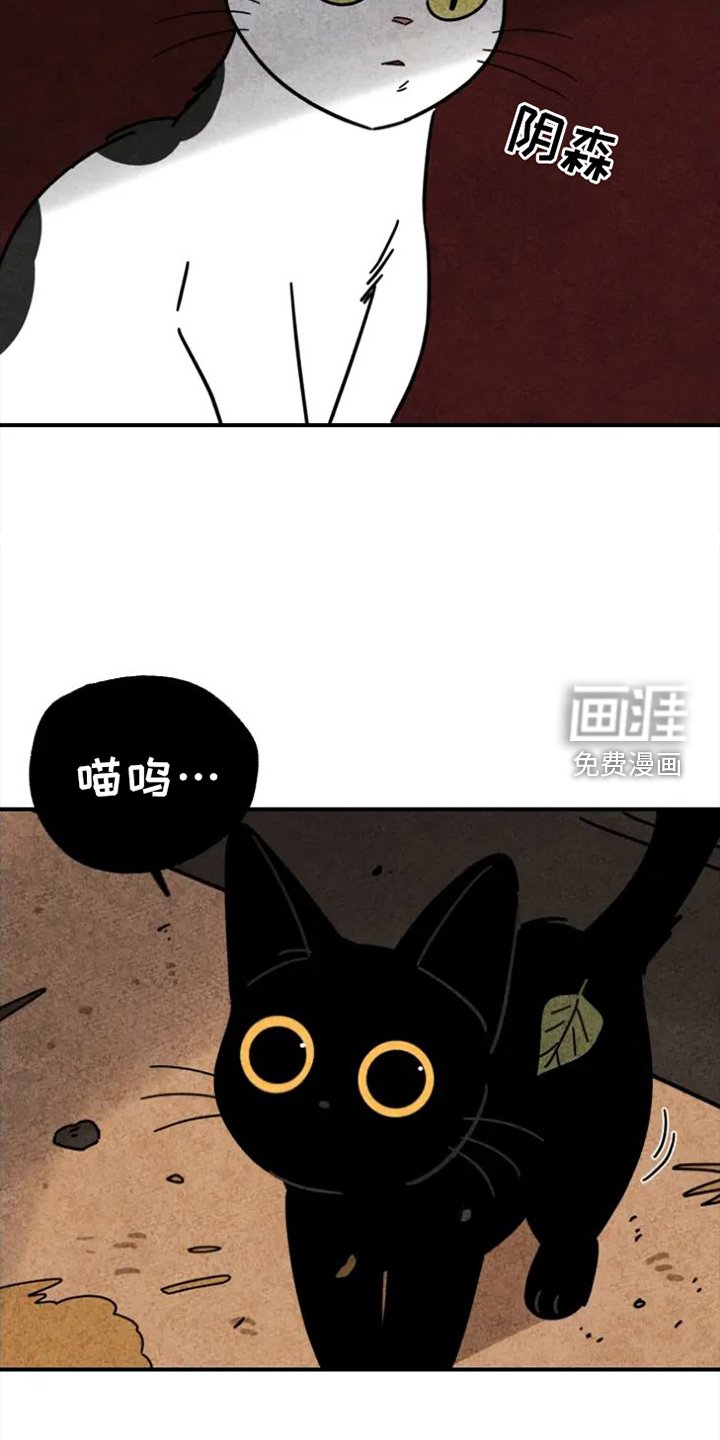 第36章：礼物