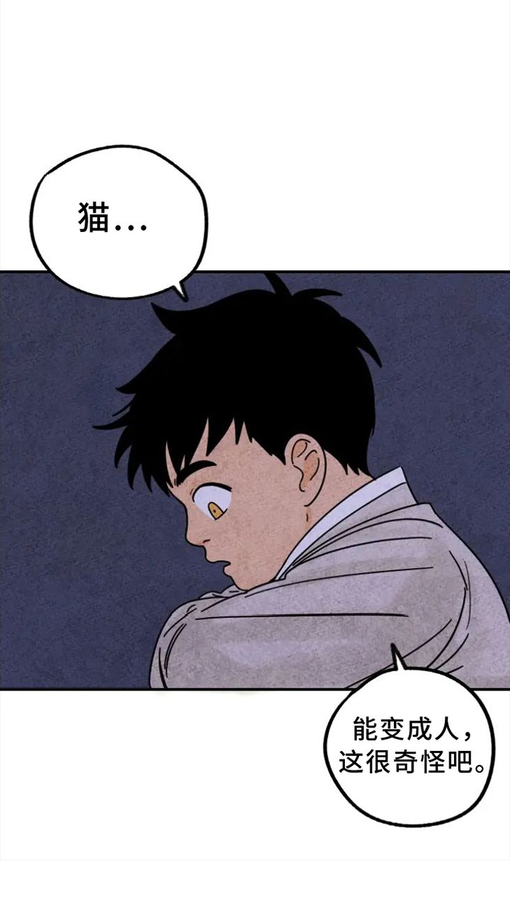 第36章：礼物