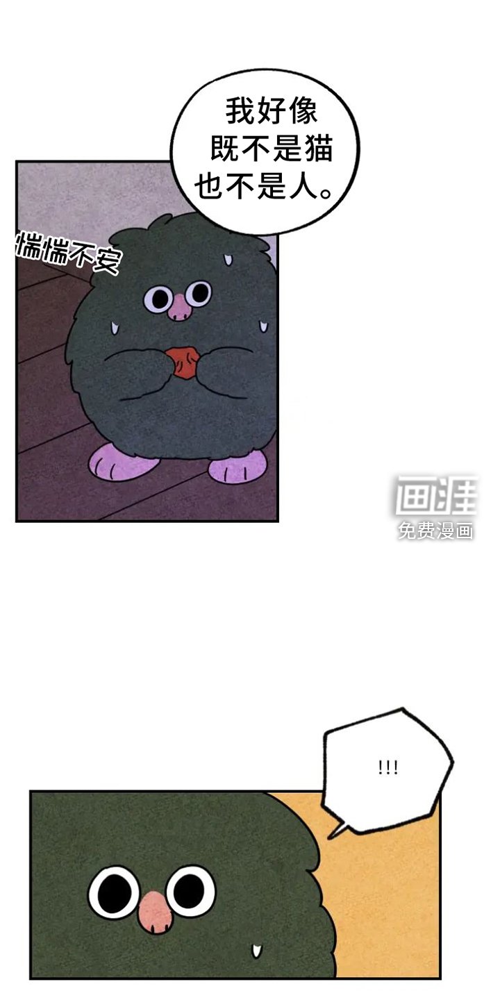 第36章：礼物