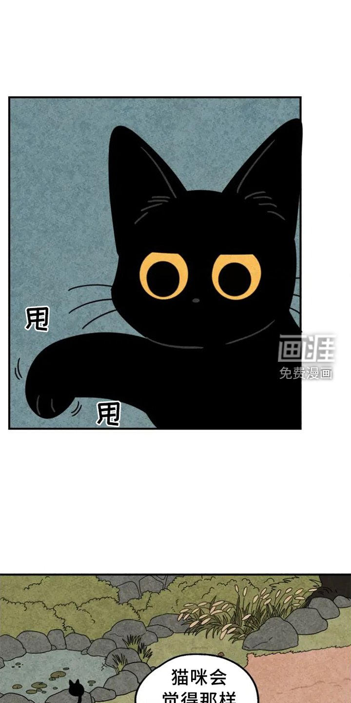 第37章：写字