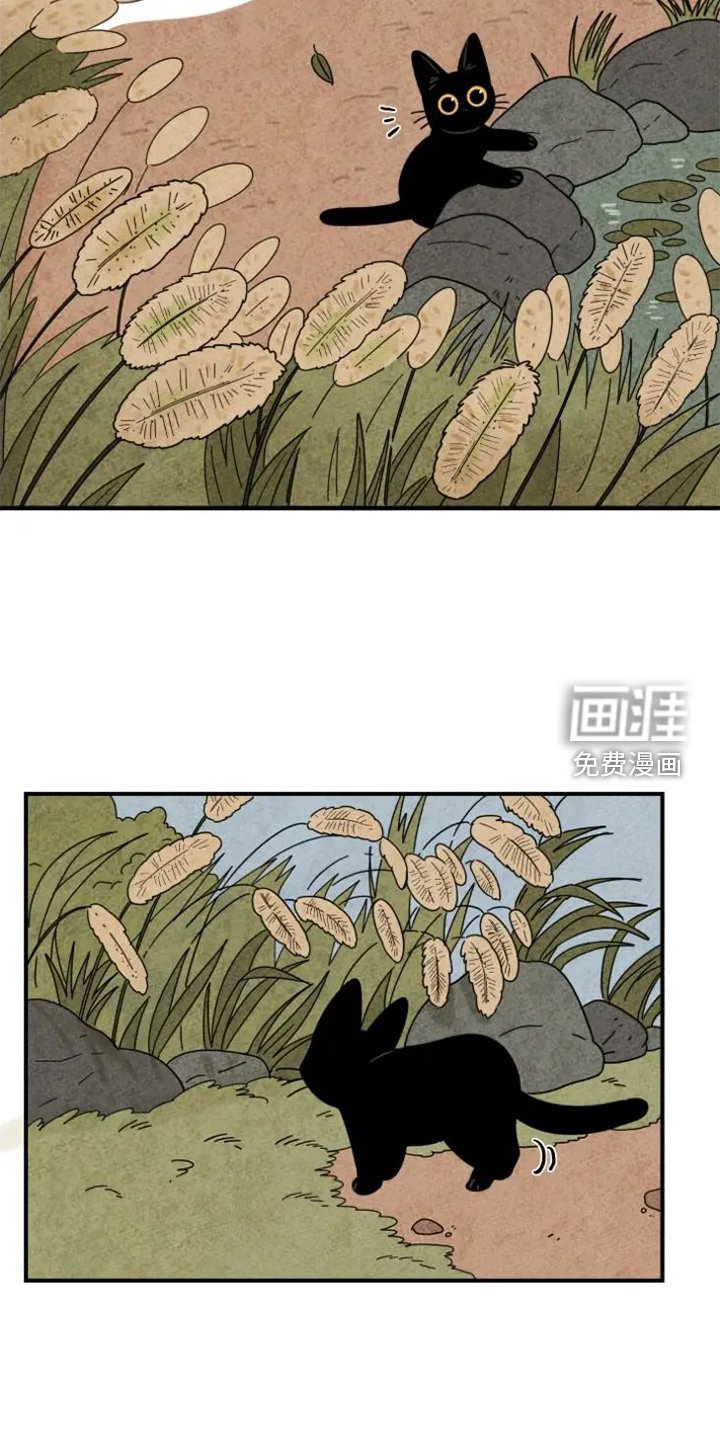 第38章：画画