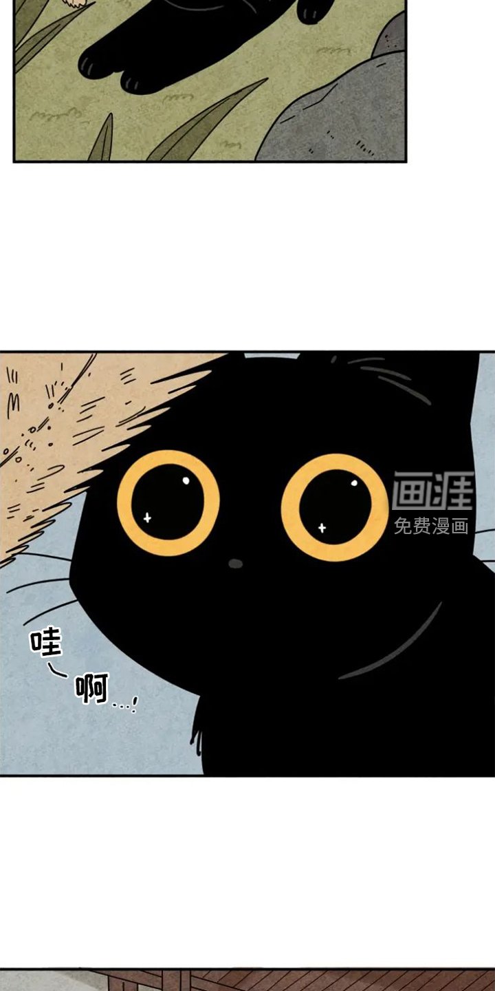 第38章：画画