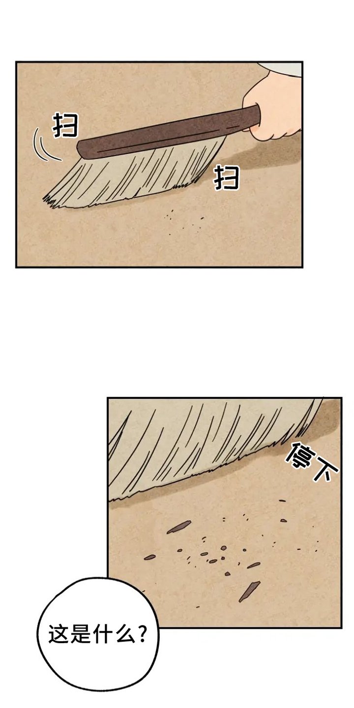 第39章：猫抓板
