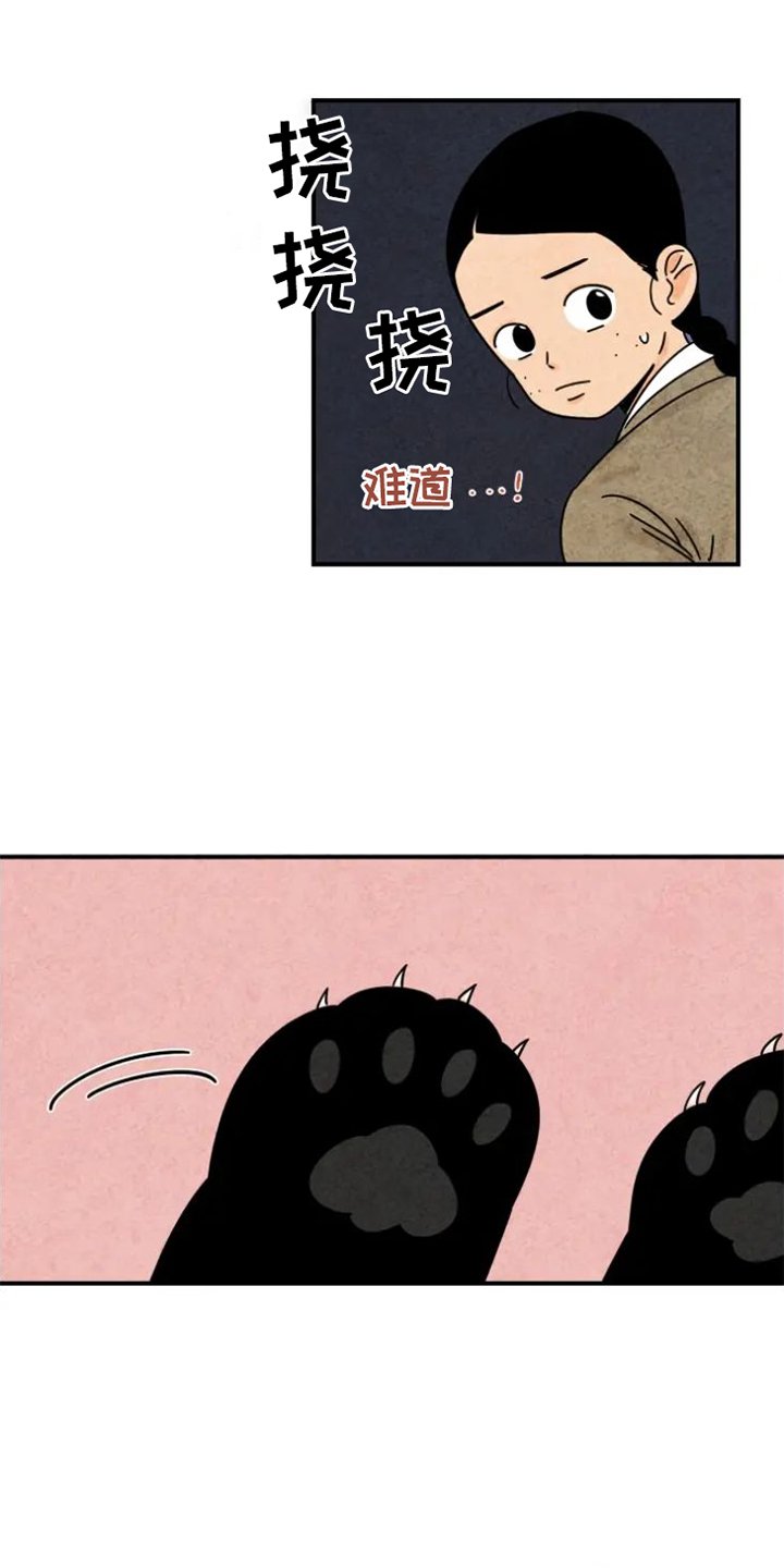 第39章：猫抓板