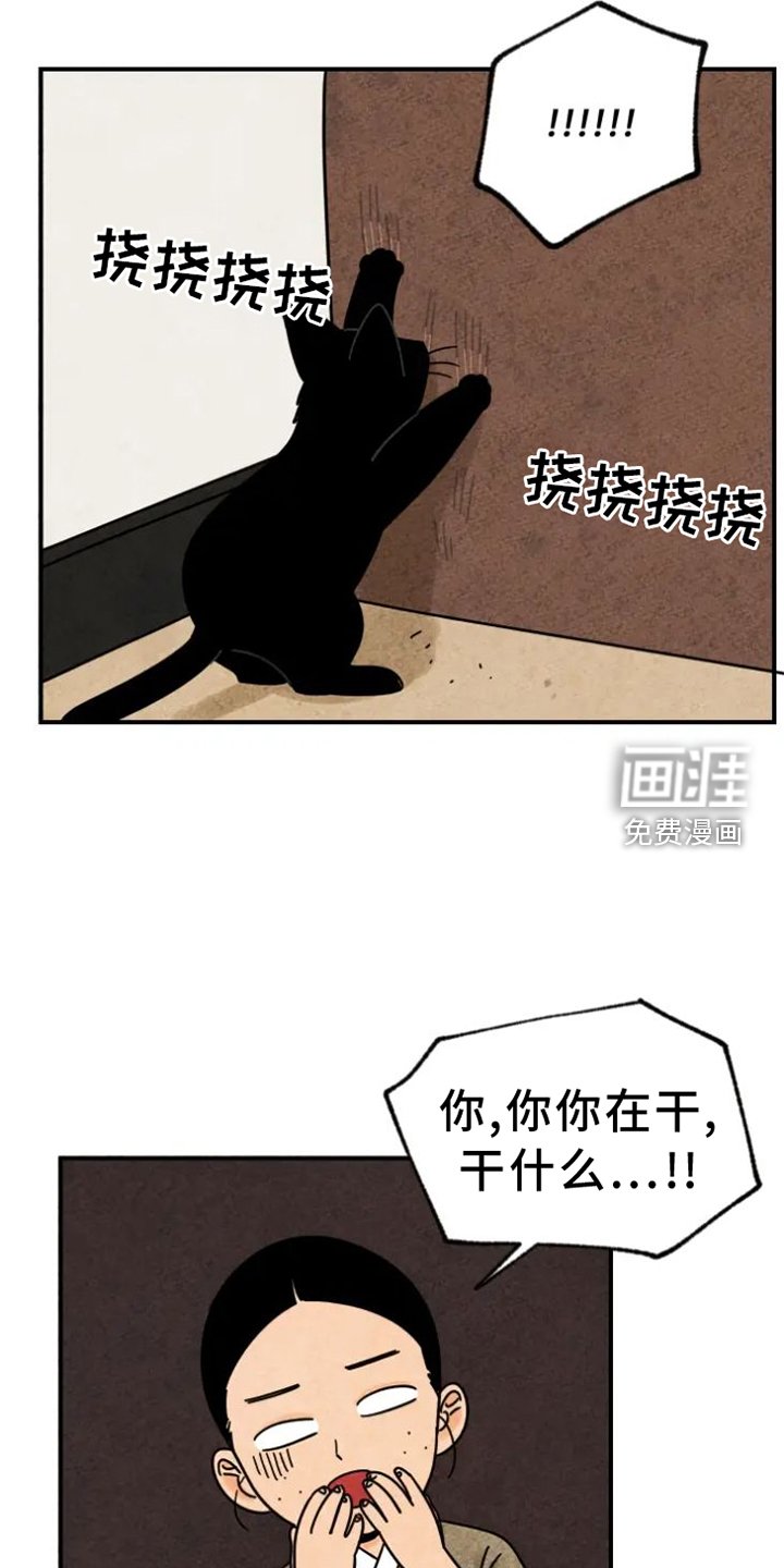 第39章：猫抓板