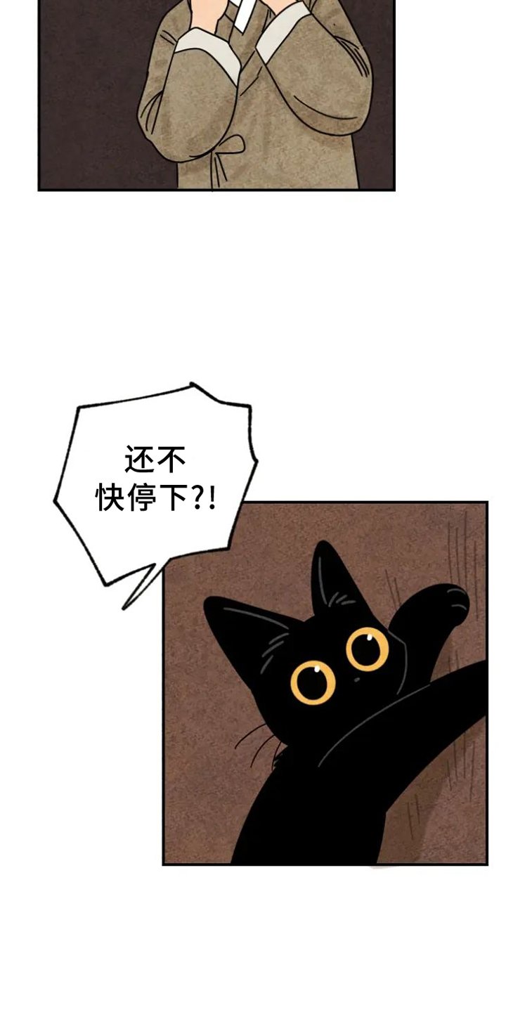 第39章：猫抓板