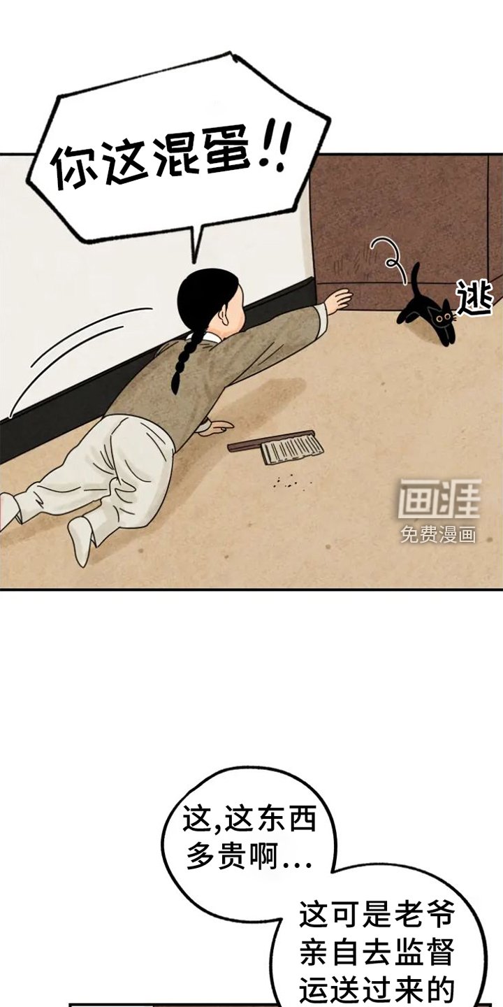 第39章：猫抓板