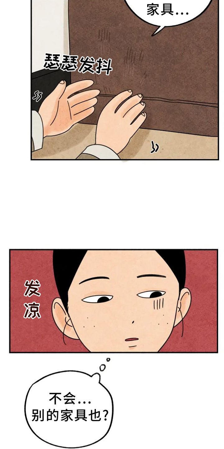 第39章：猫抓板