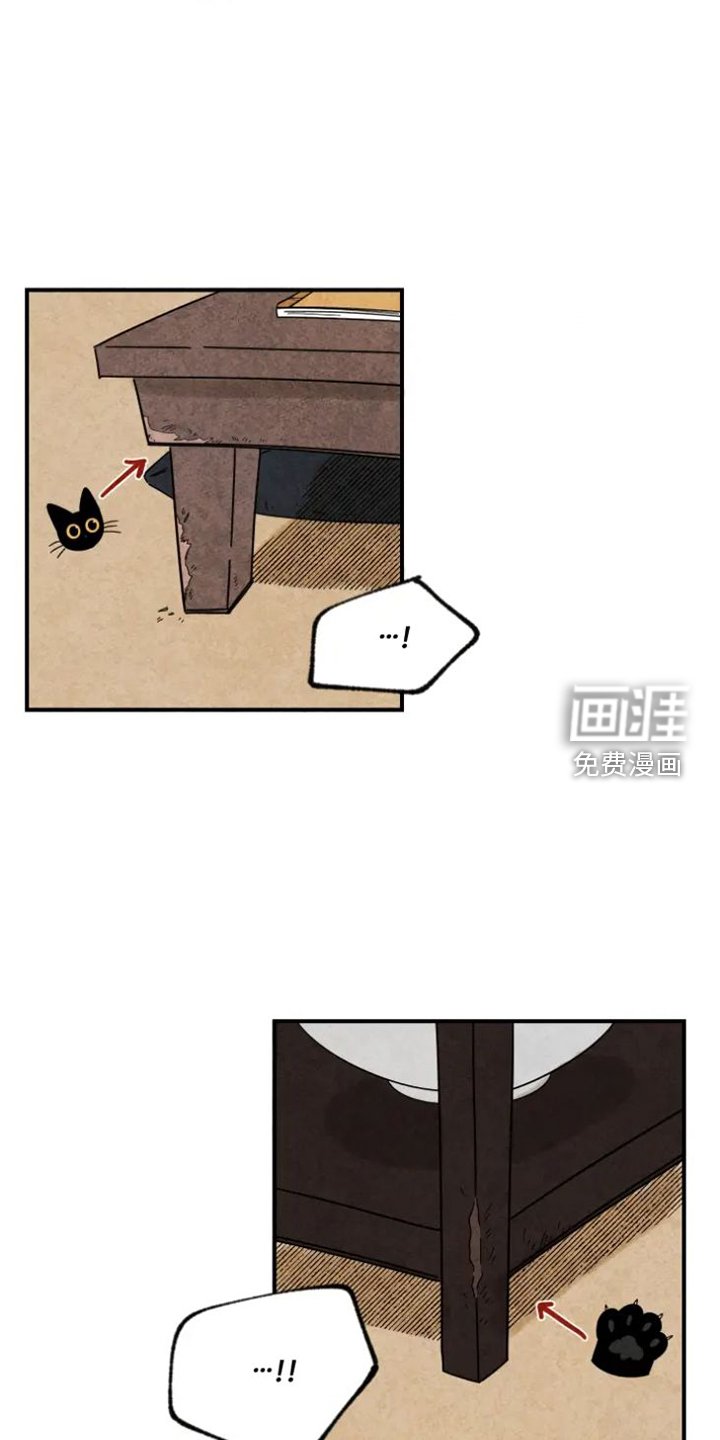 第39章：猫抓板