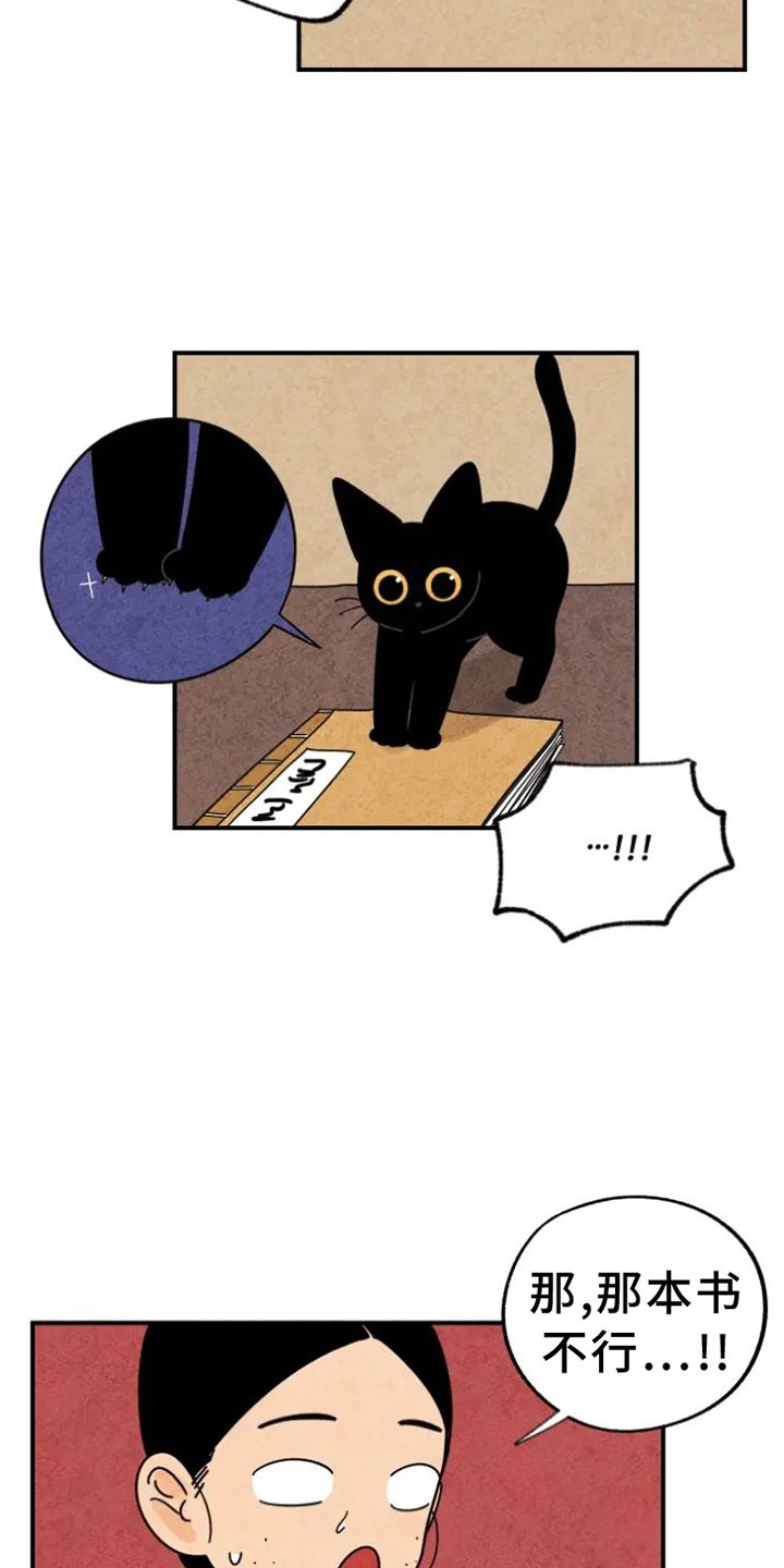 第39章：猫抓板