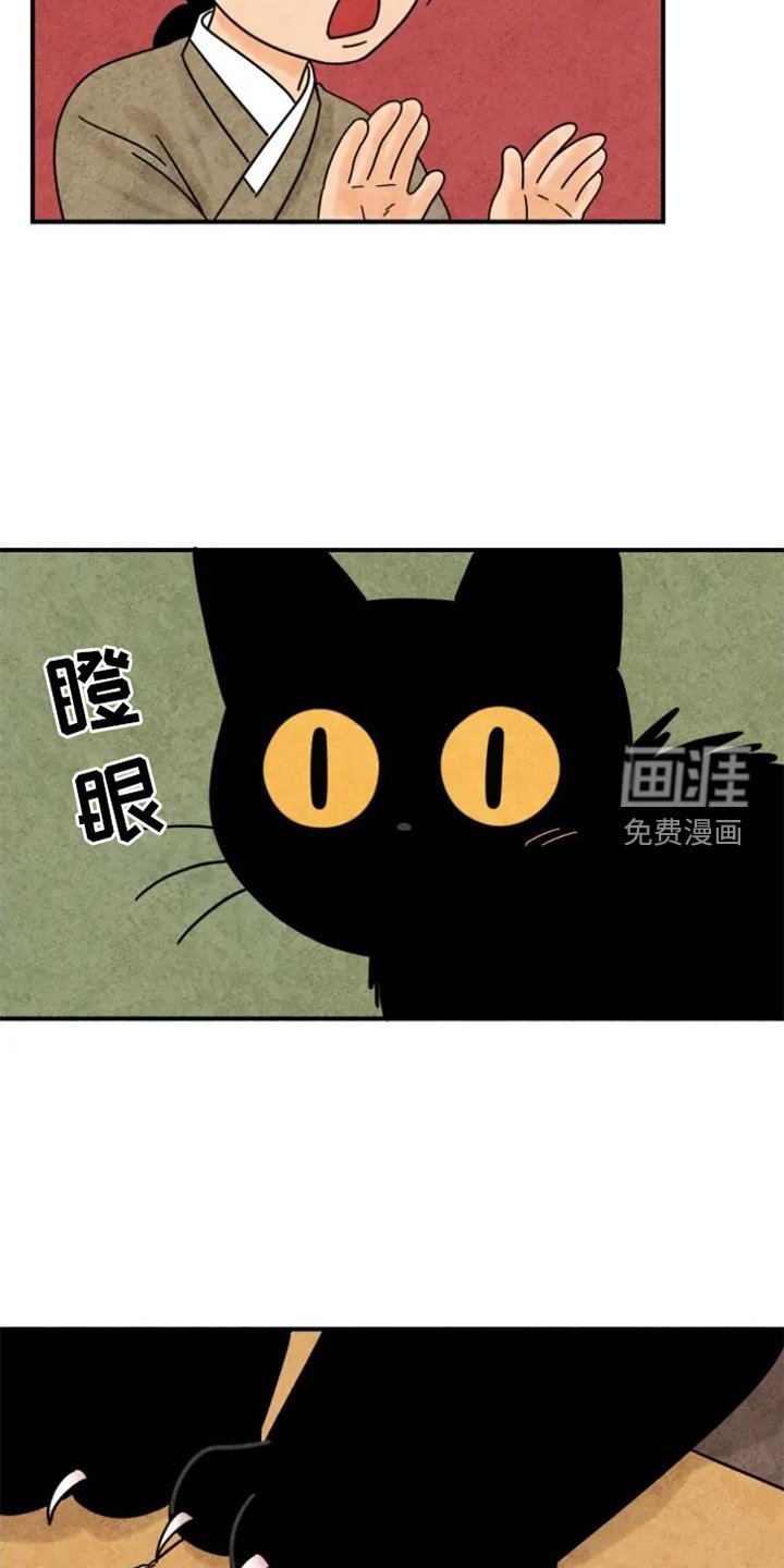 第39章：猫抓板