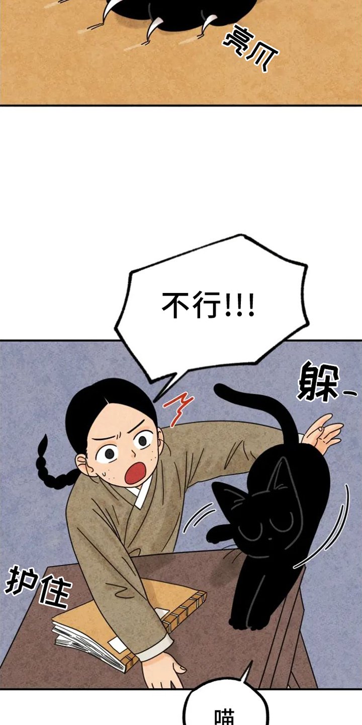第39章：猫抓板