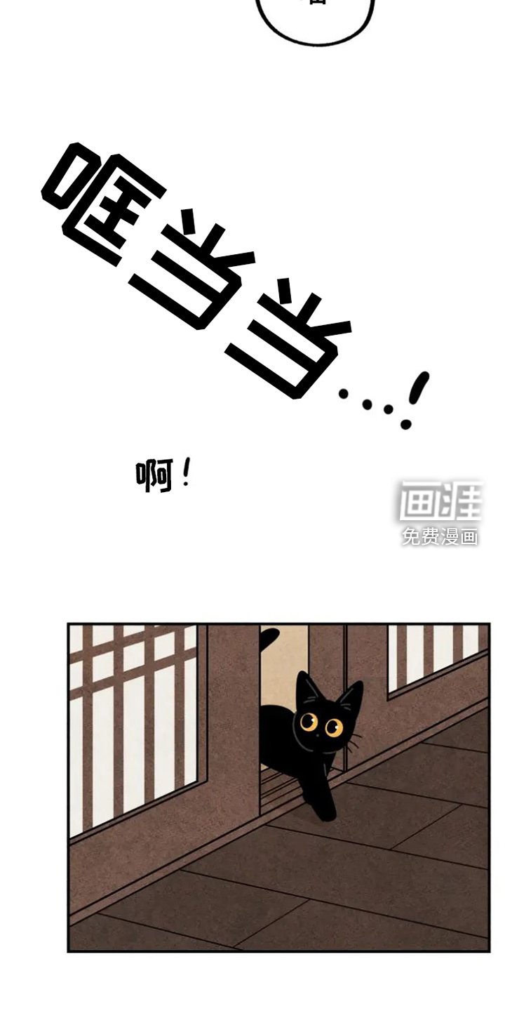第39章：猫抓板