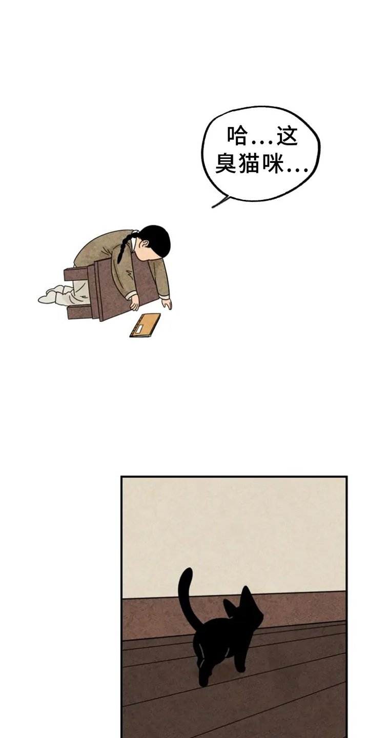 第39章：猫抓板
