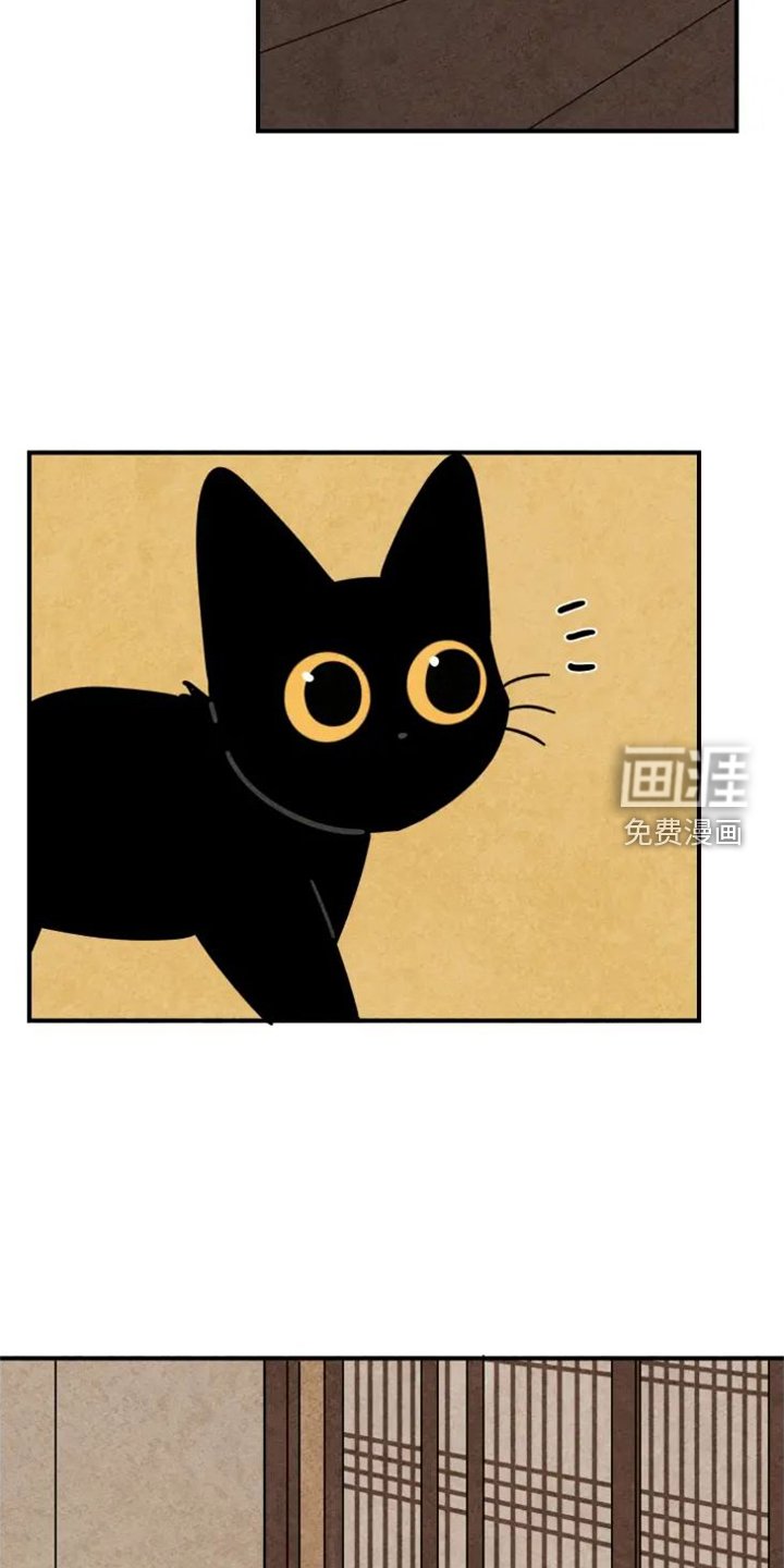 第39章：猫抓板
