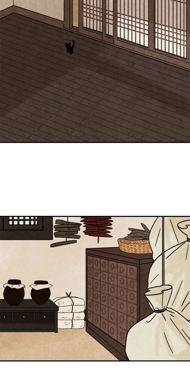 第39章：猫抓板