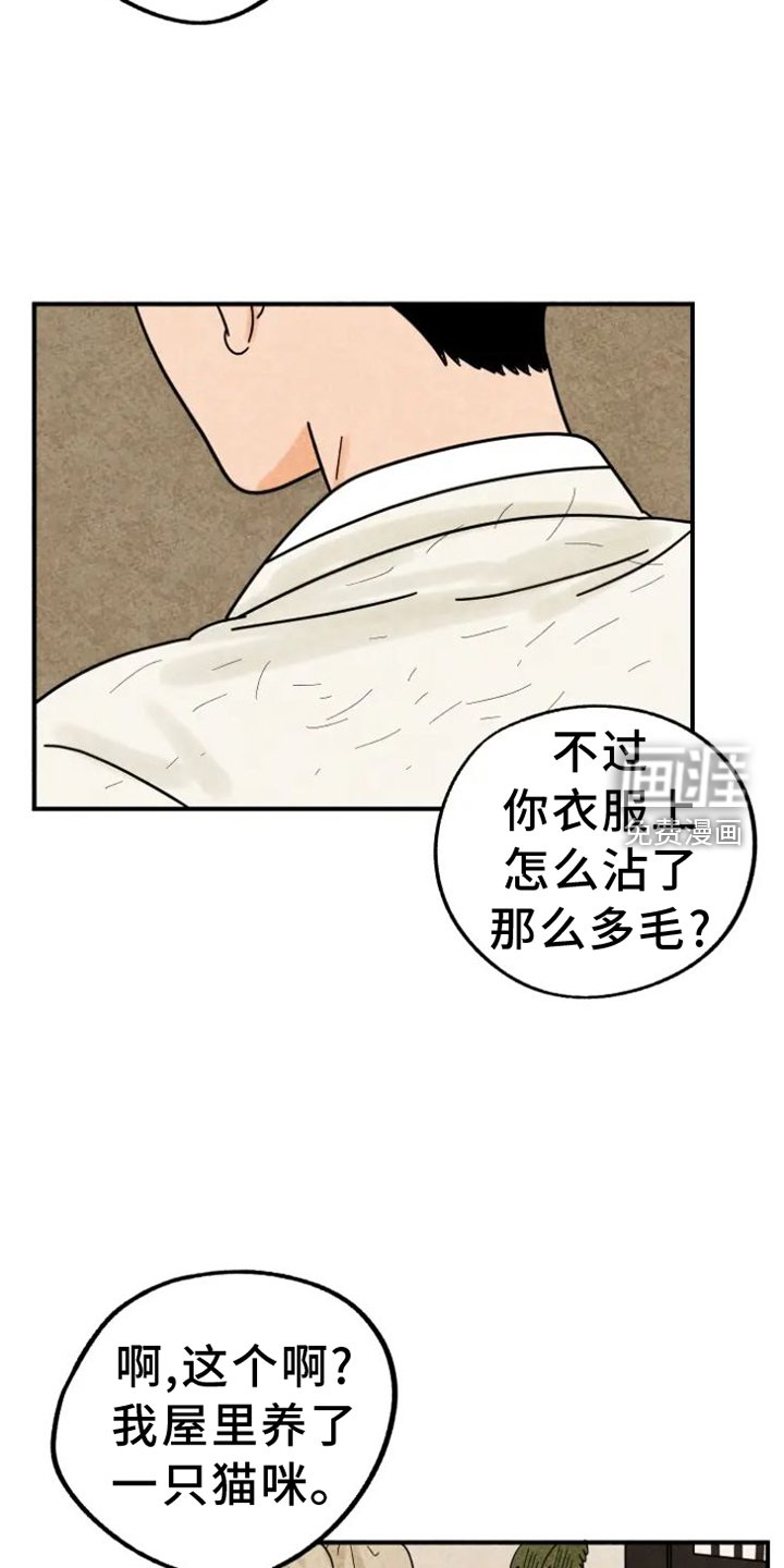 第39章：猫抓板