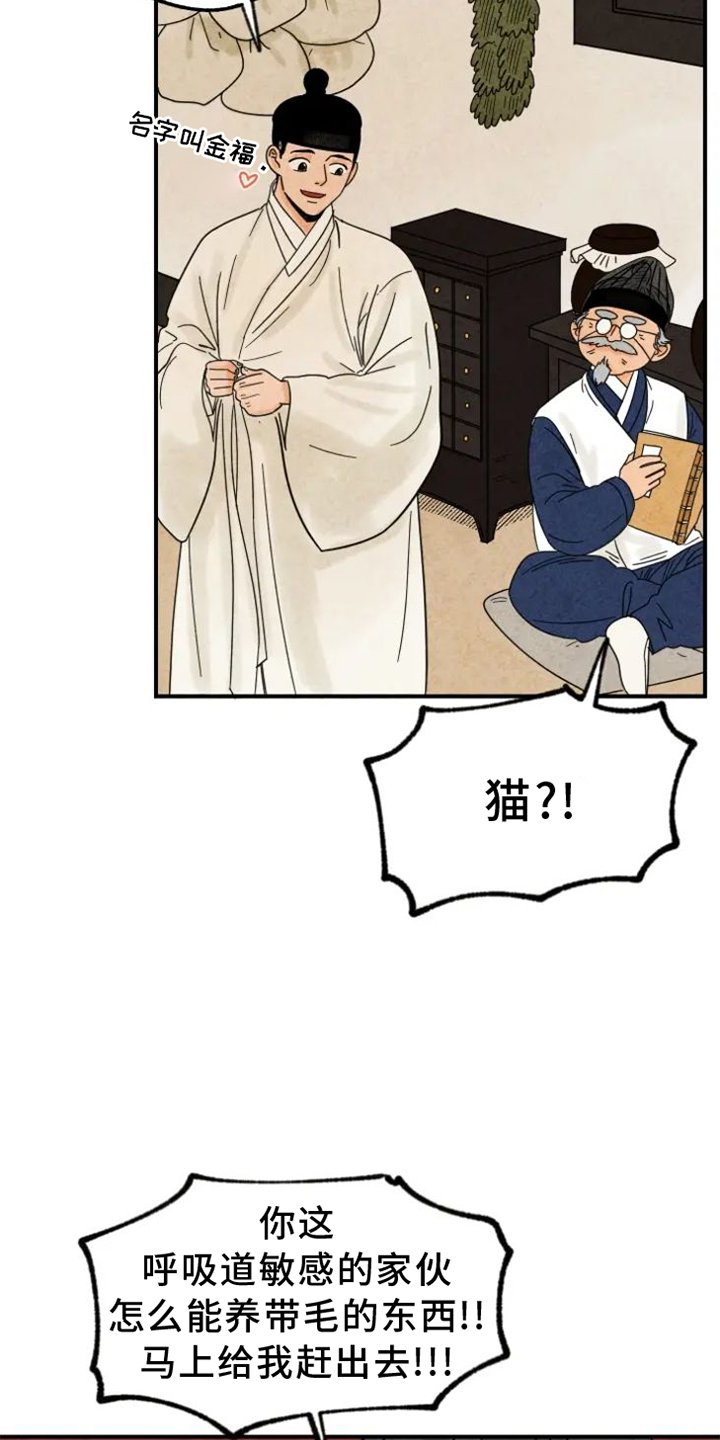 第39章：猫抓板