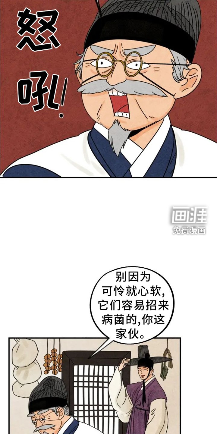 第39章：猫抓板