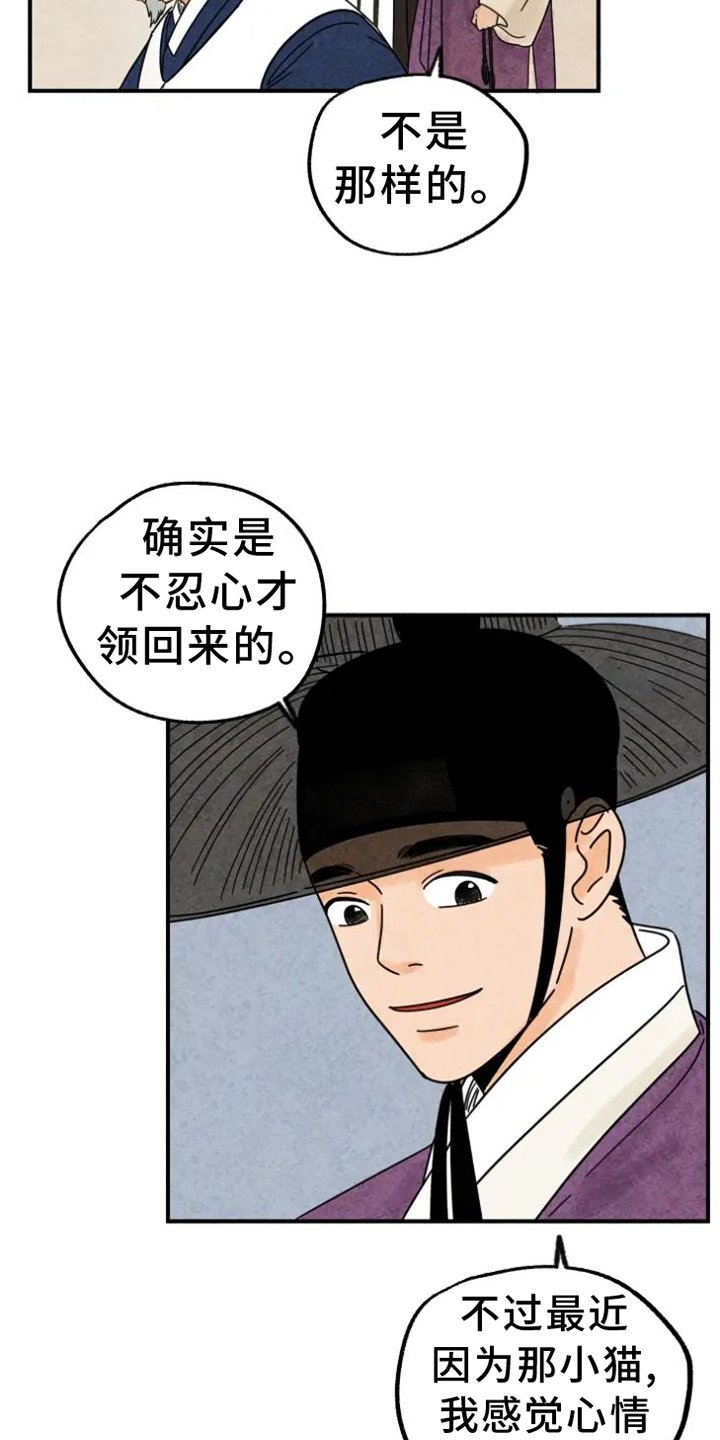 第39章：猫抓板