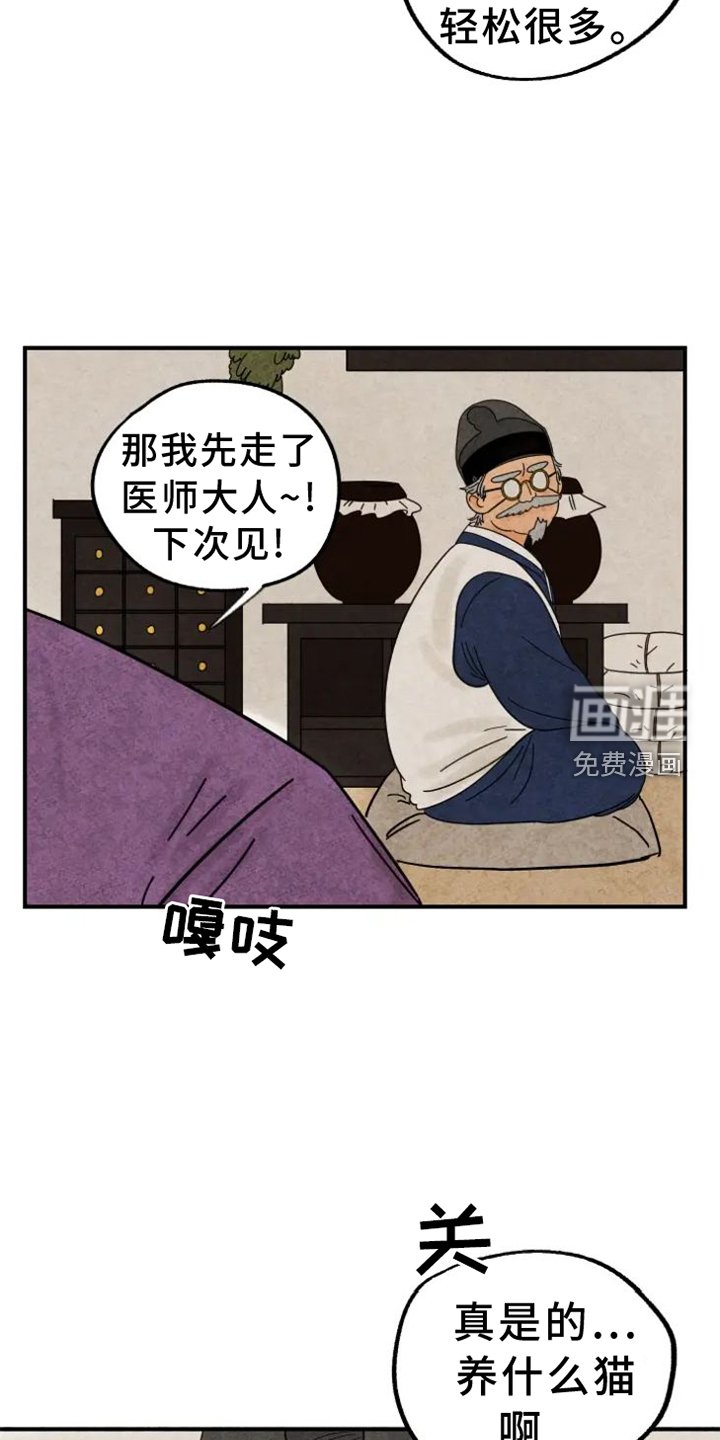 第39章：猫抓板