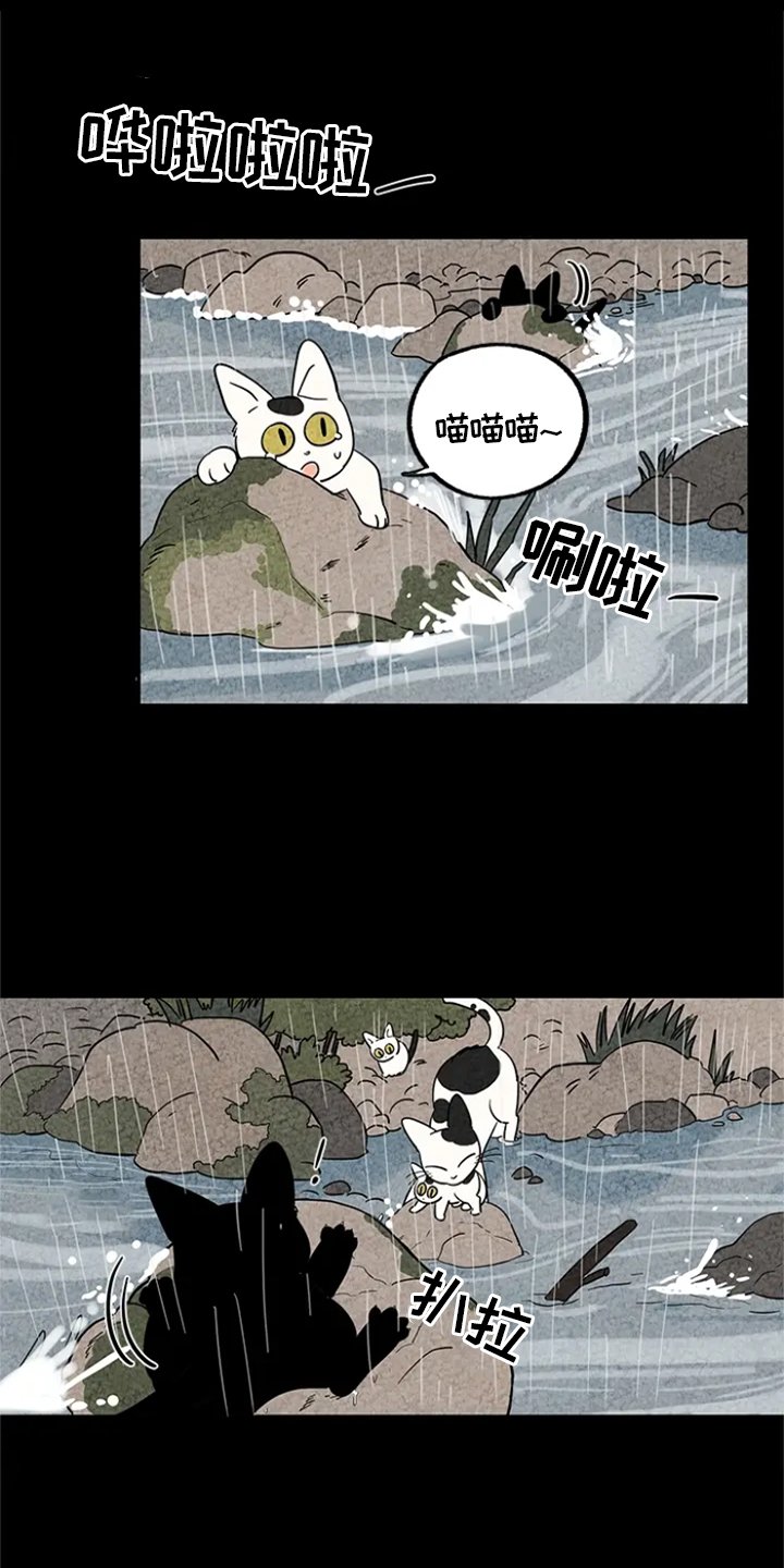 第4章：感化