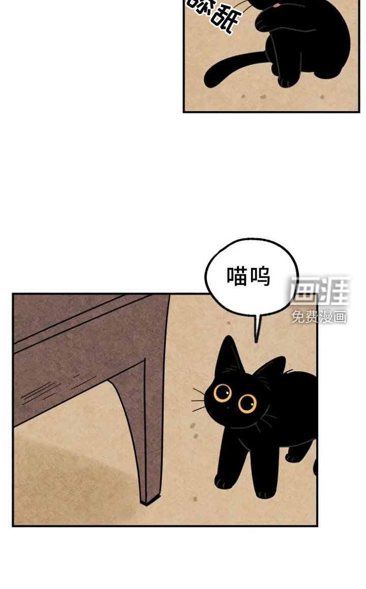 第40章：喜欢