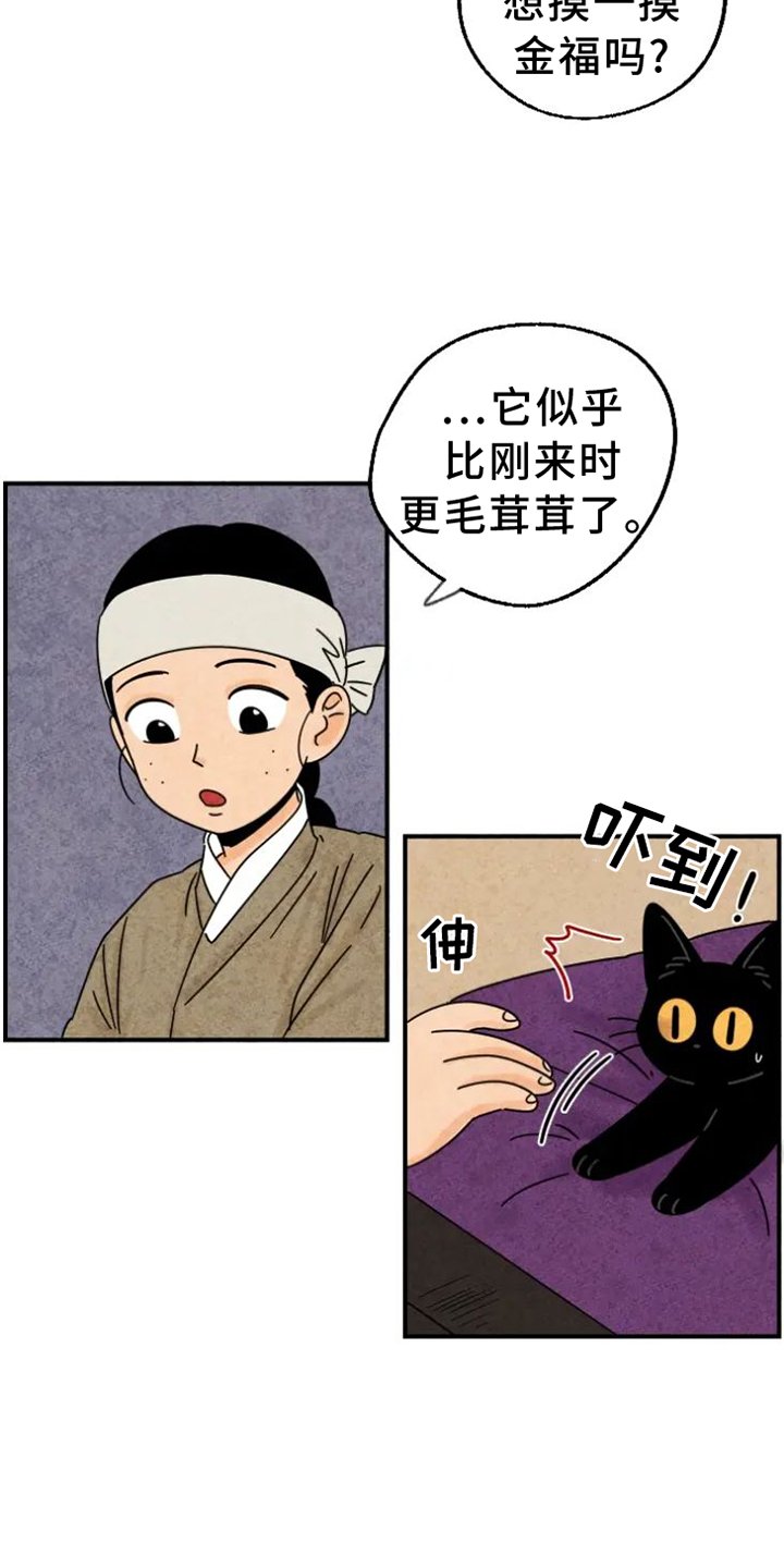 第41章：柿子