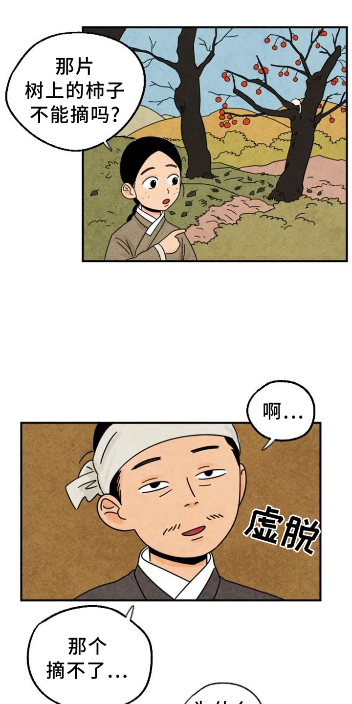 第41章：柿子