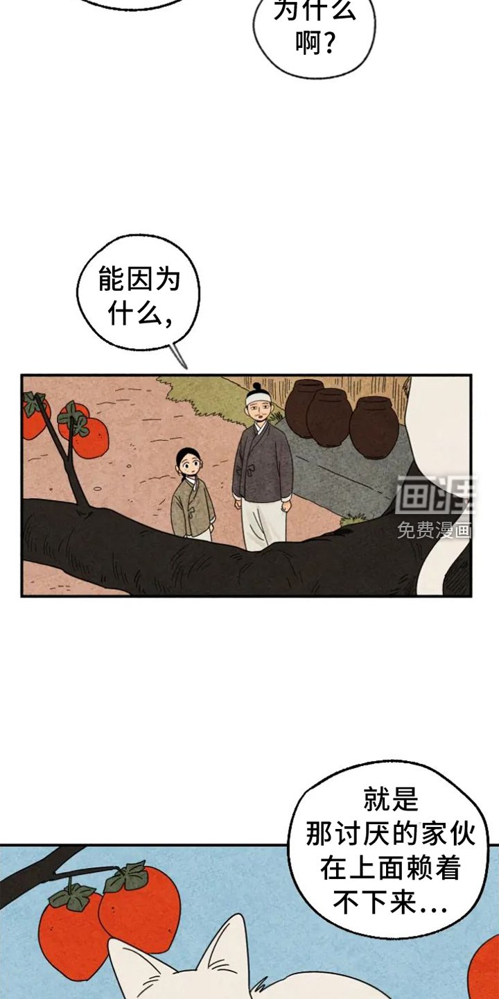 第41章：柿子