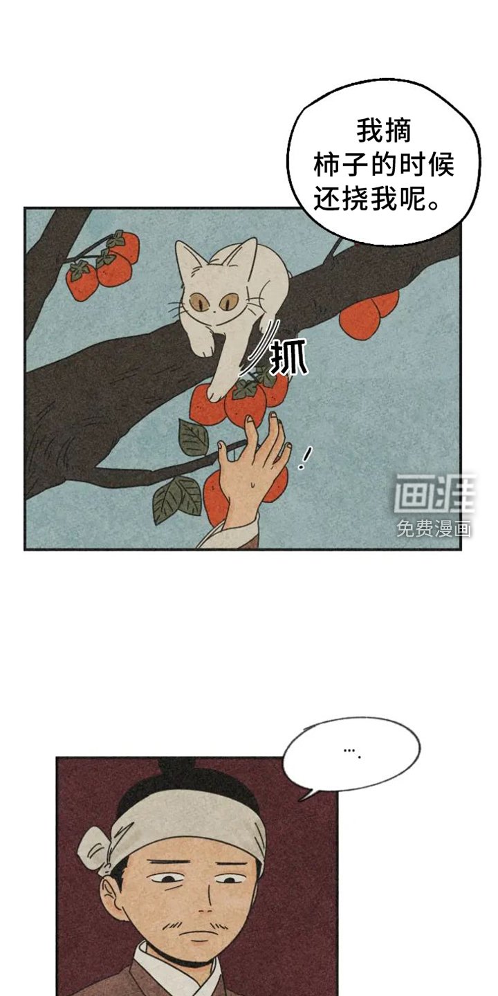 第41章：柿子