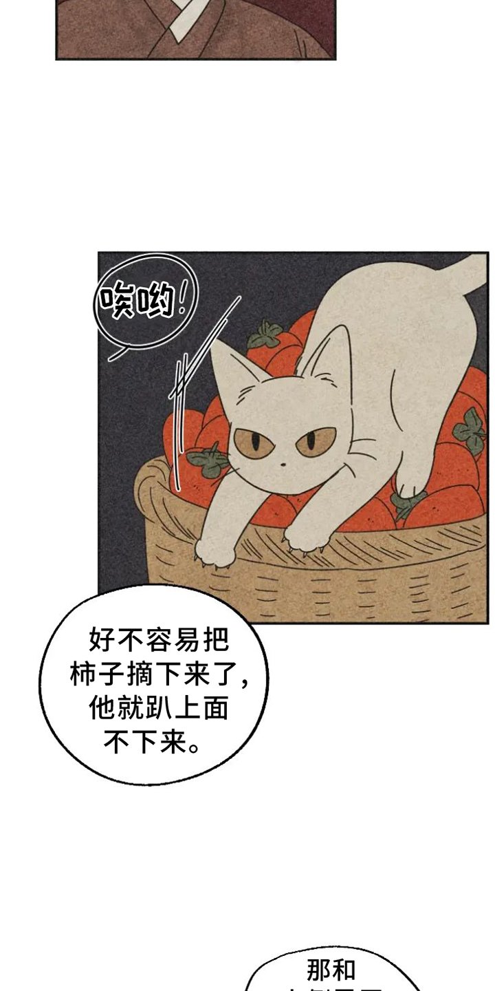 第41章：柿子