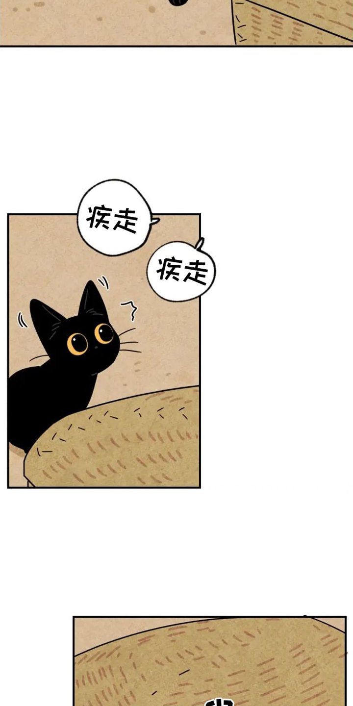 第43章：捉迷藏