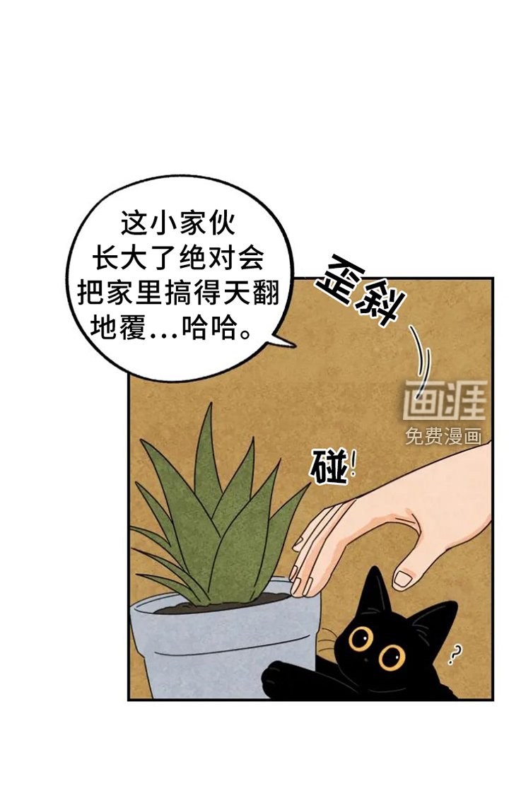 第44章：夜访