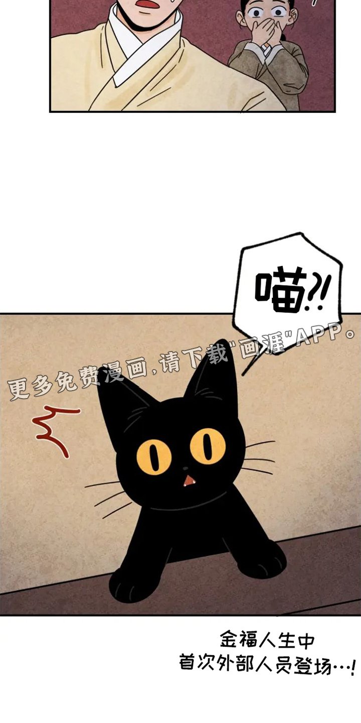 第44章：夜访