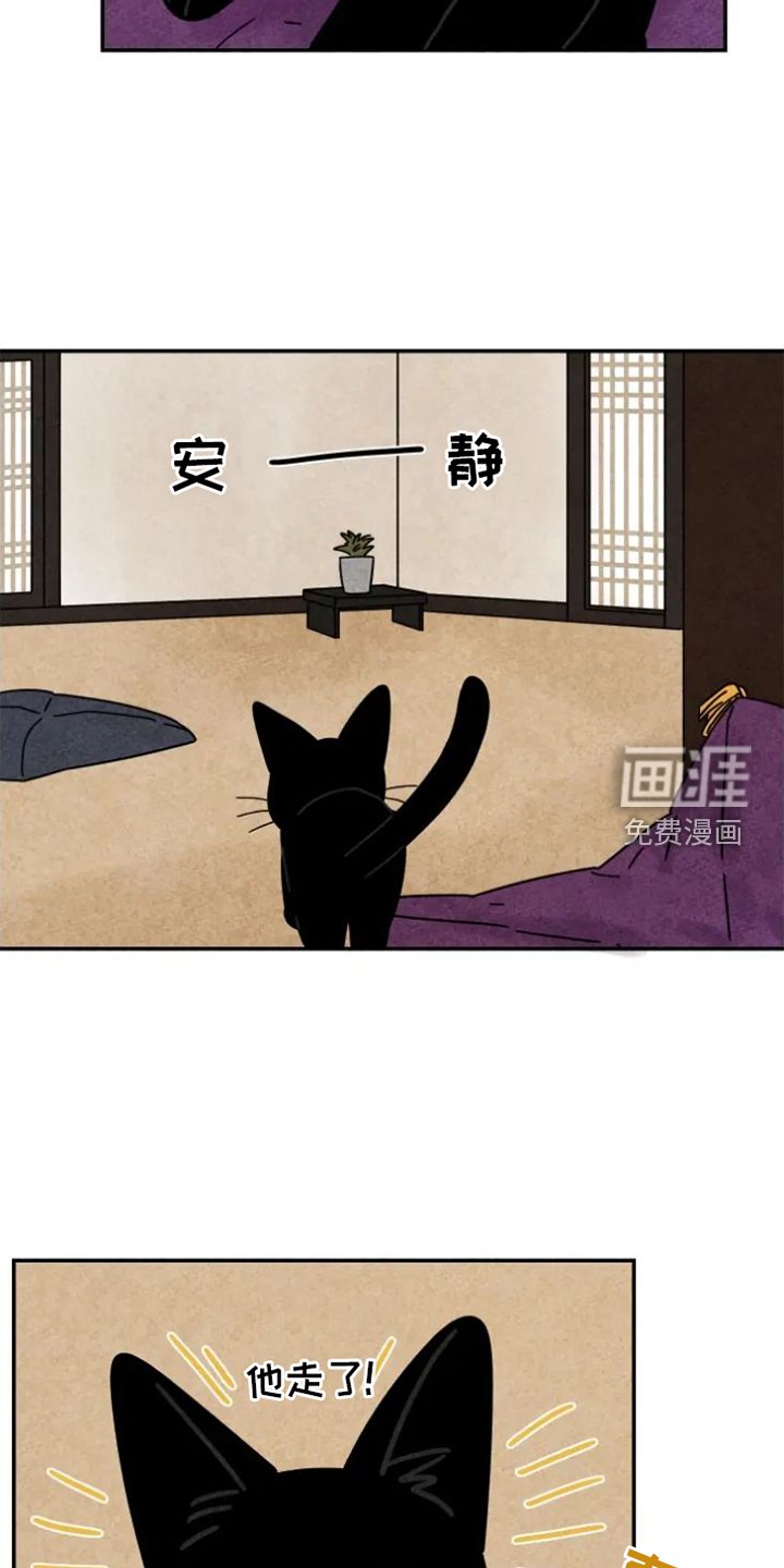 第47章：挠伤