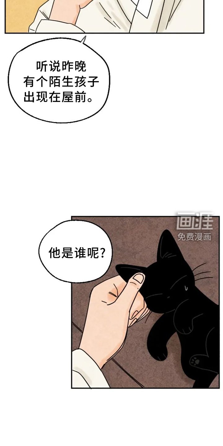第47章：挠伤