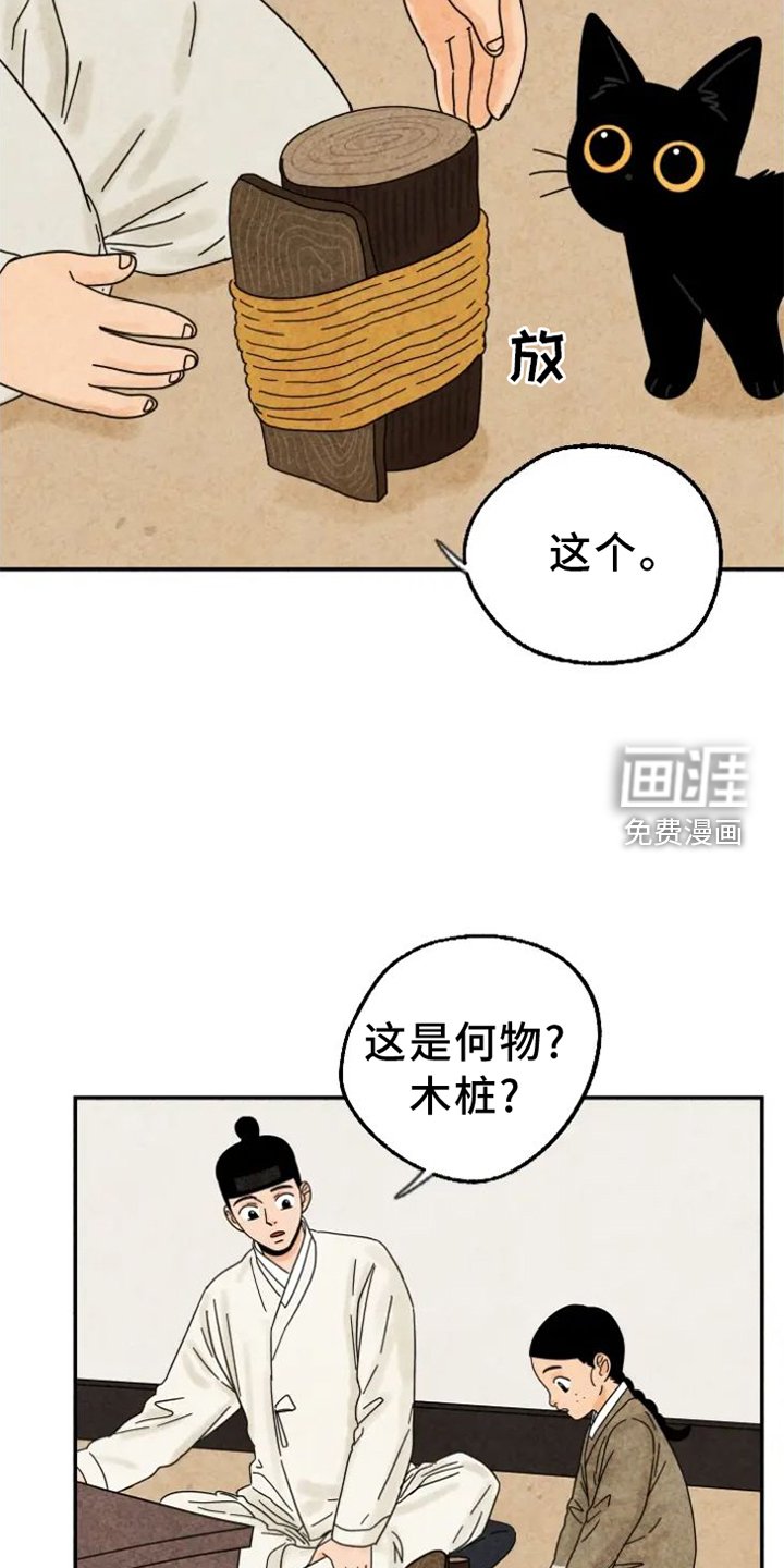第47章：挠伤