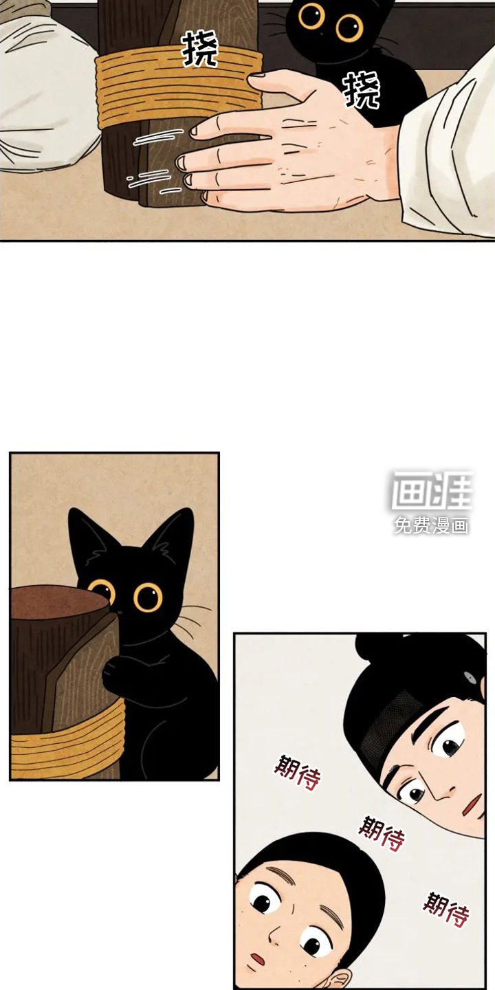 第47章：挠伤