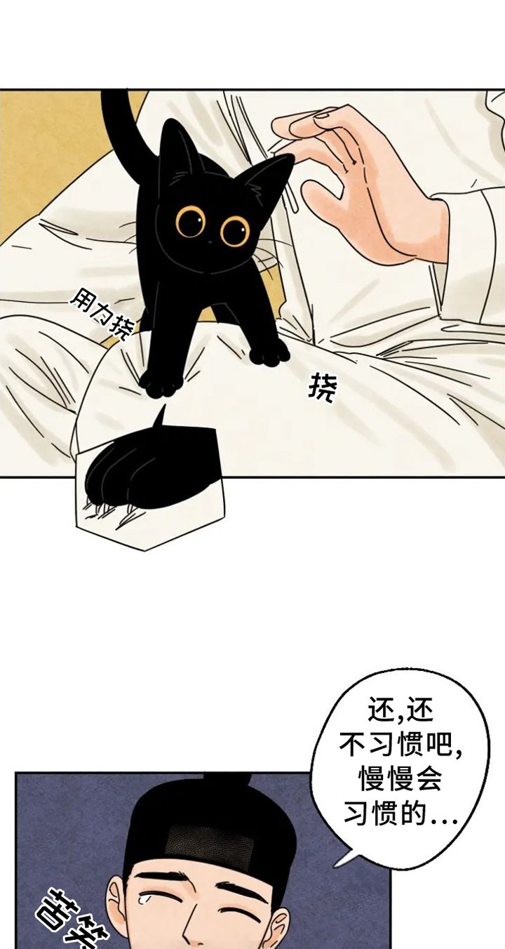 第48章：猫抓板