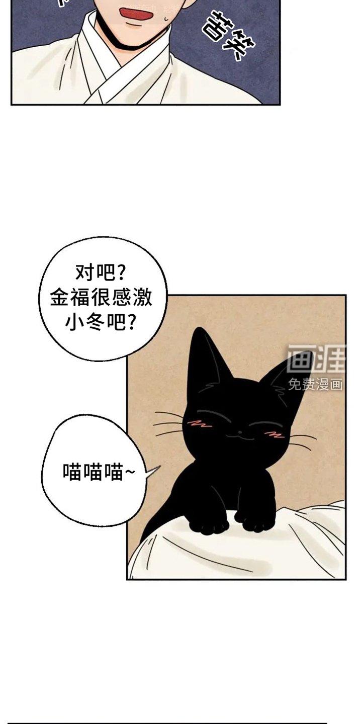 第48章：猫抓板