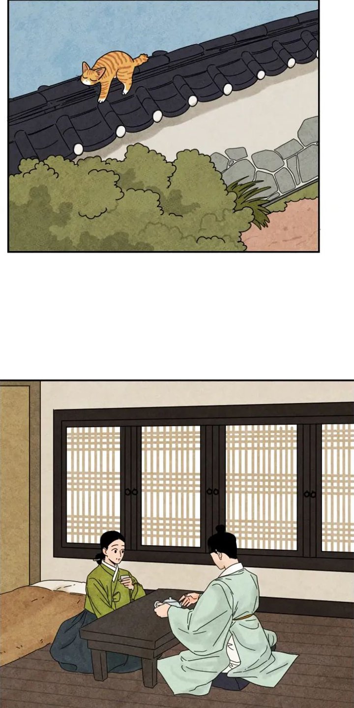 第48章：猫抓板