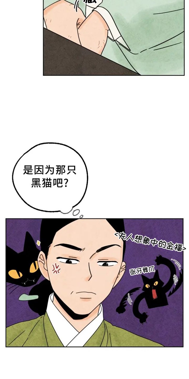 第48章：猫抓板