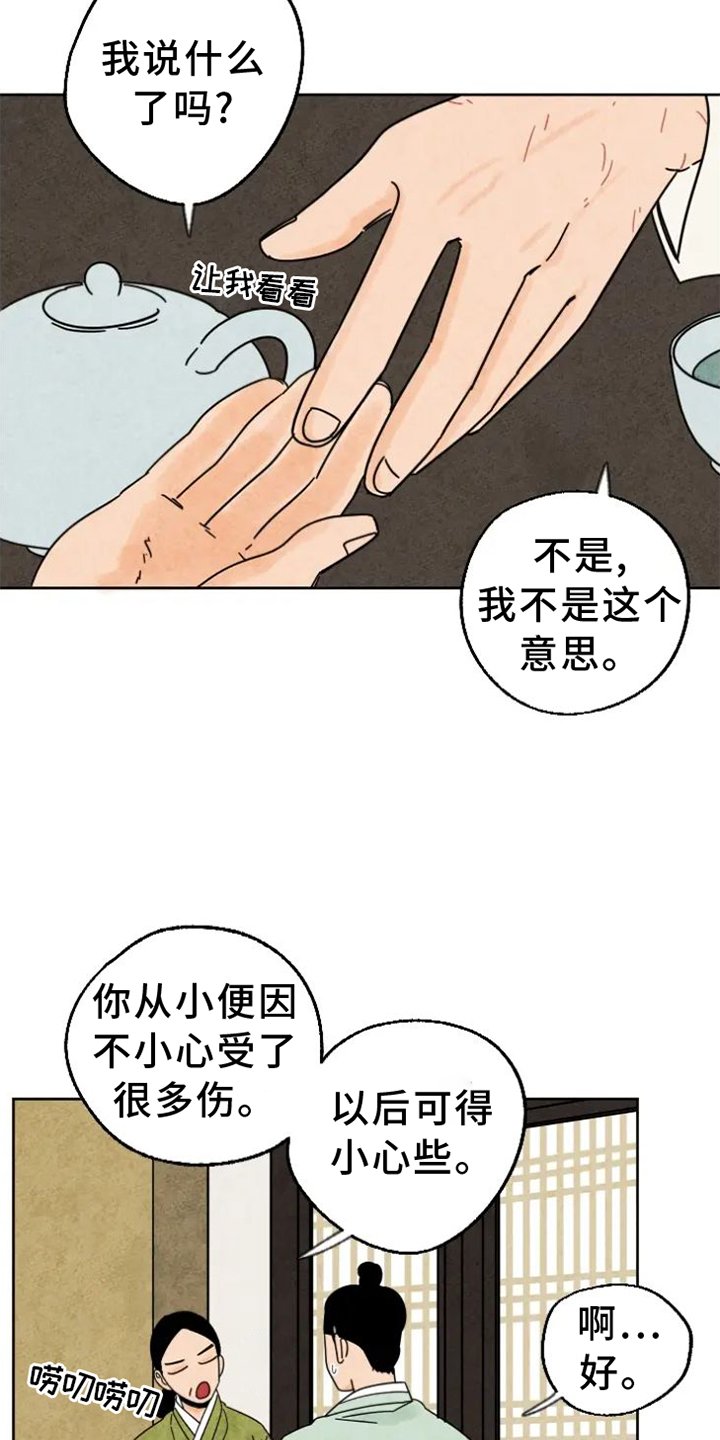 第48章：猫抓板