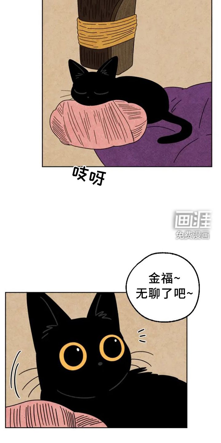 第48章：猫抓板